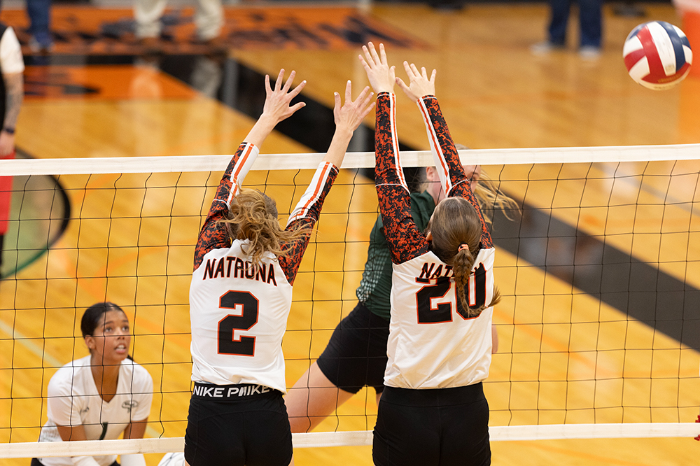 %_tempFileName1M6A6032%