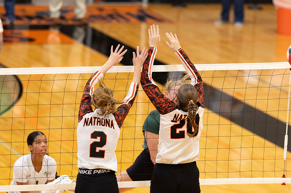 %_tempFileName1M6A6033%