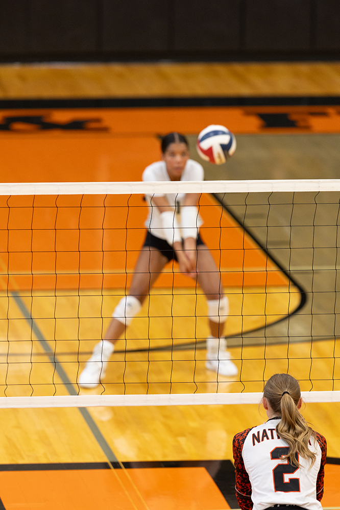 %_tempFileName1M6A6036%