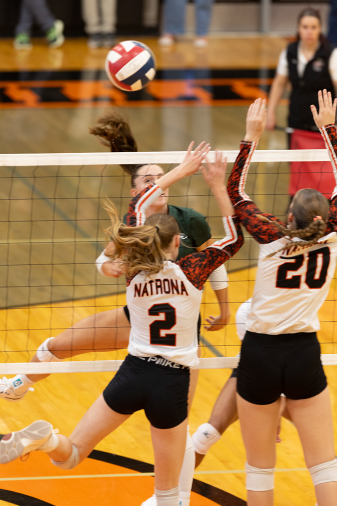 %_tempFileName1M6A6043%