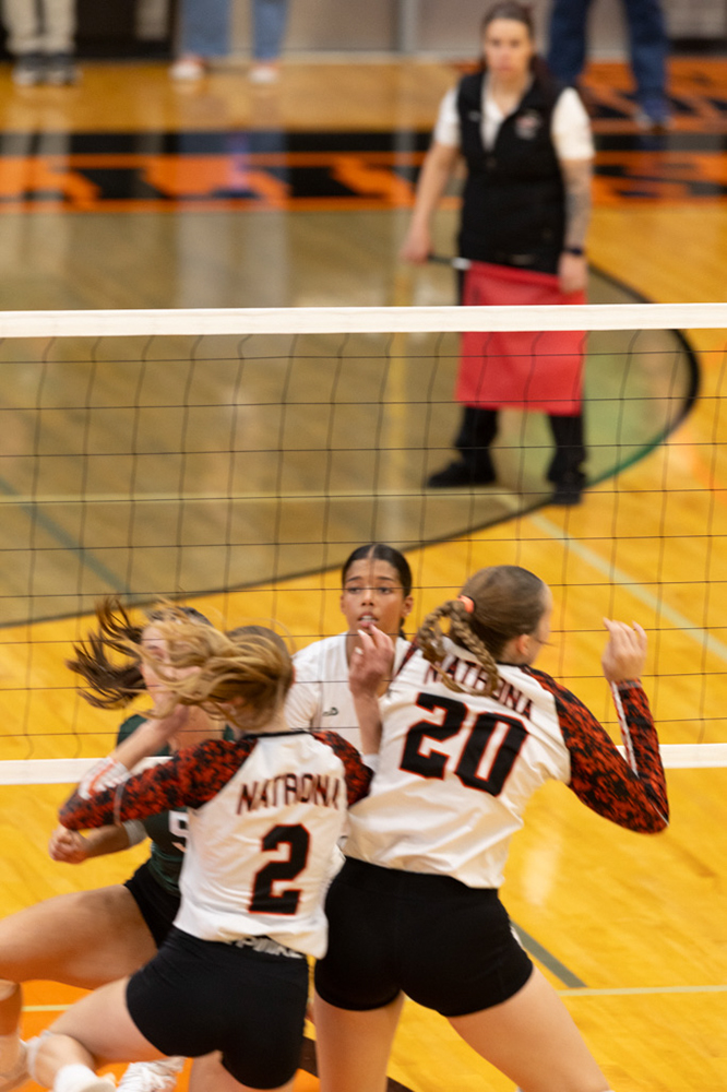 %_tempFileName1M6A6046%