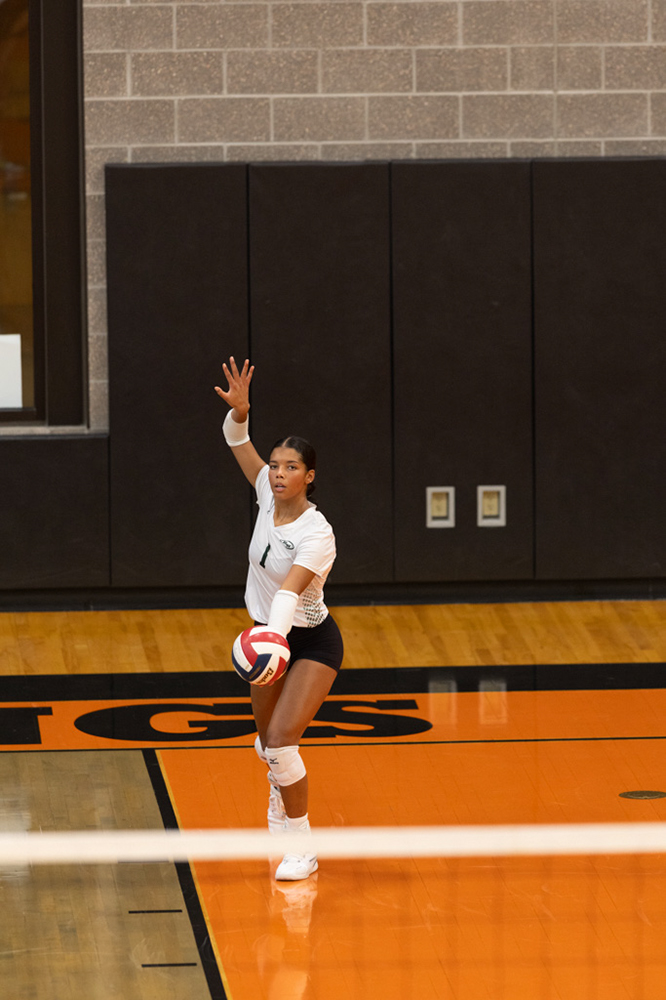 %_tempFileName1M6A6052%