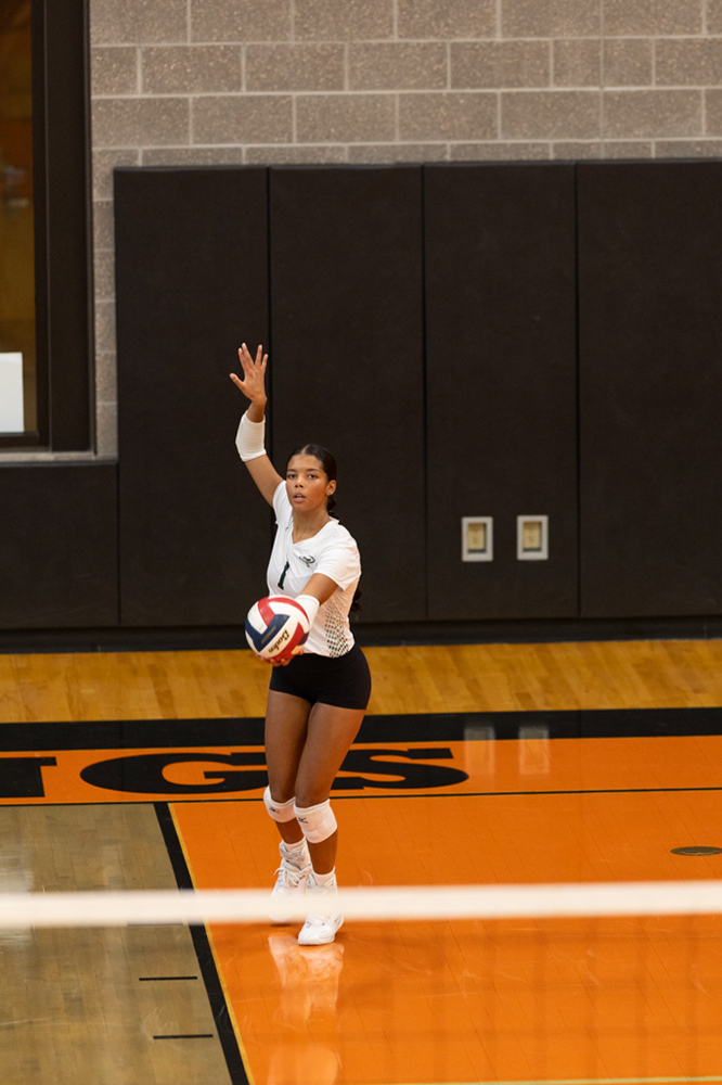 %_tempFileName1M6A6054%