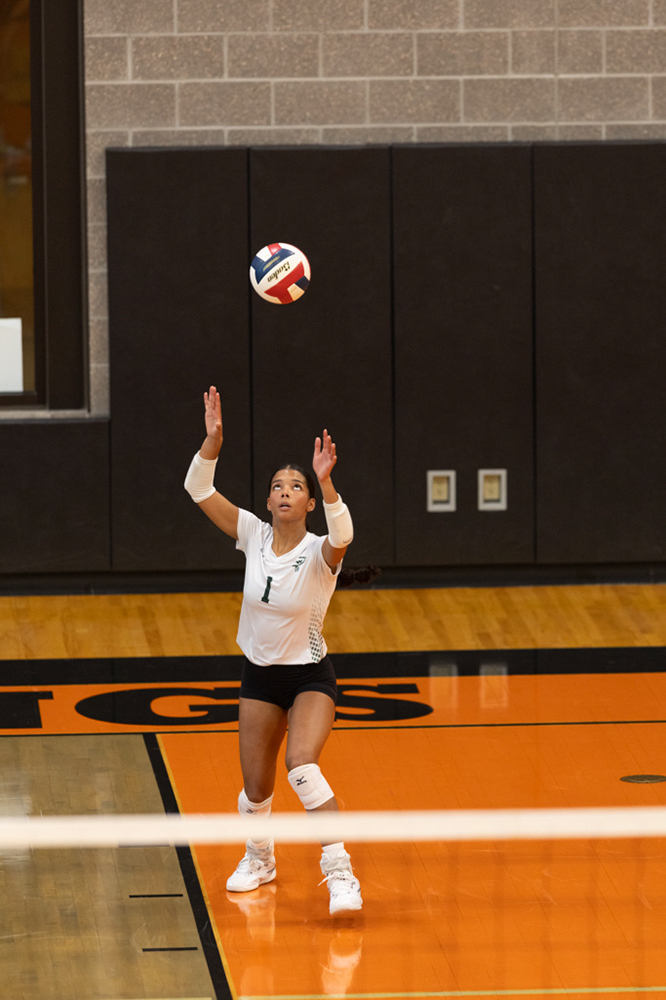 %_tempFileName1M6A6056%