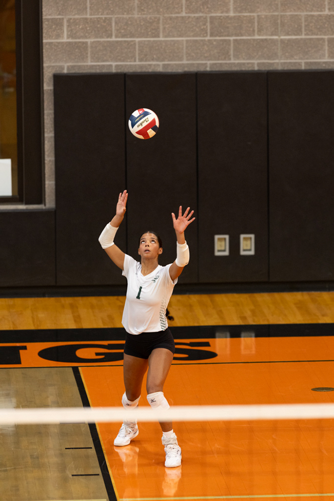 %_tempFileName1M6A6057%