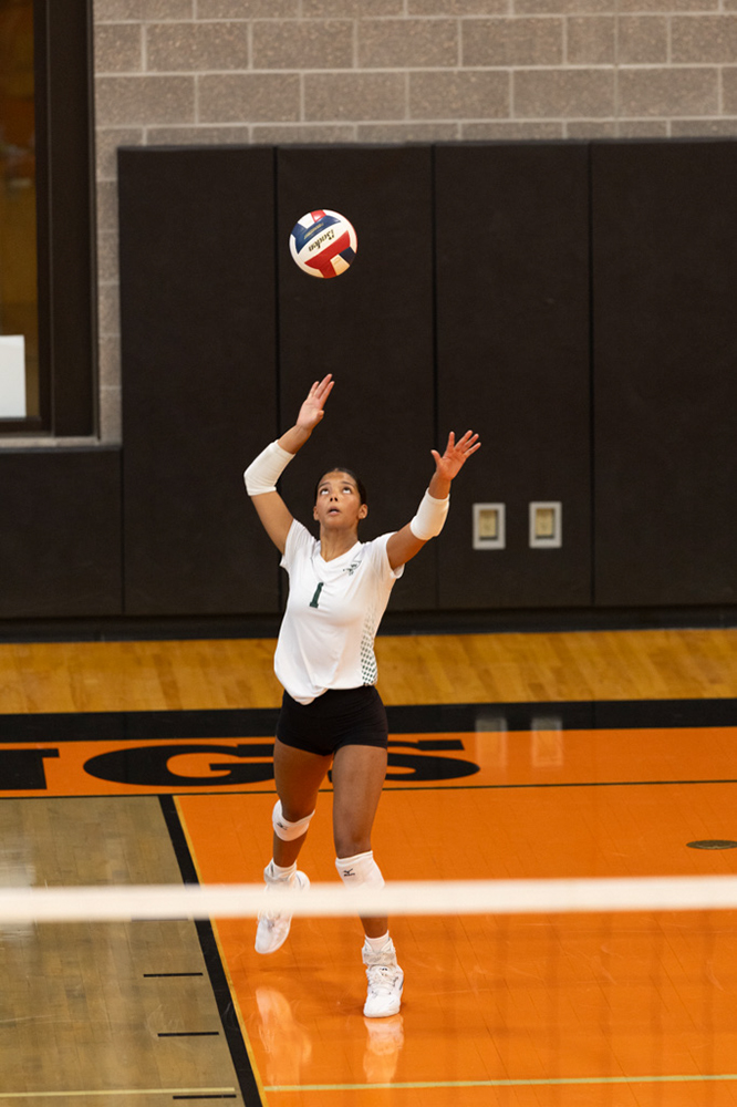 %_tempFileName1M6A6058%