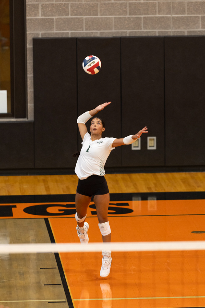 %_tempFileName1M6A6059%