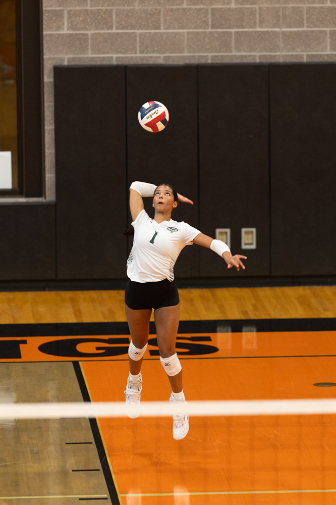 %_tempFileName1M6A6060%