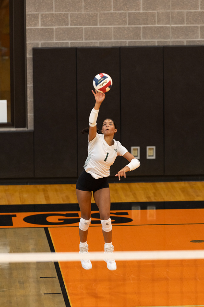 %_tempFileName1M6A6062%