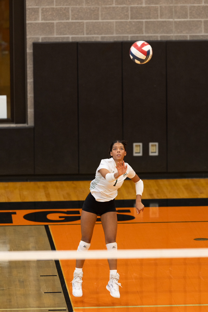 %_tempFileName1M6A6065%