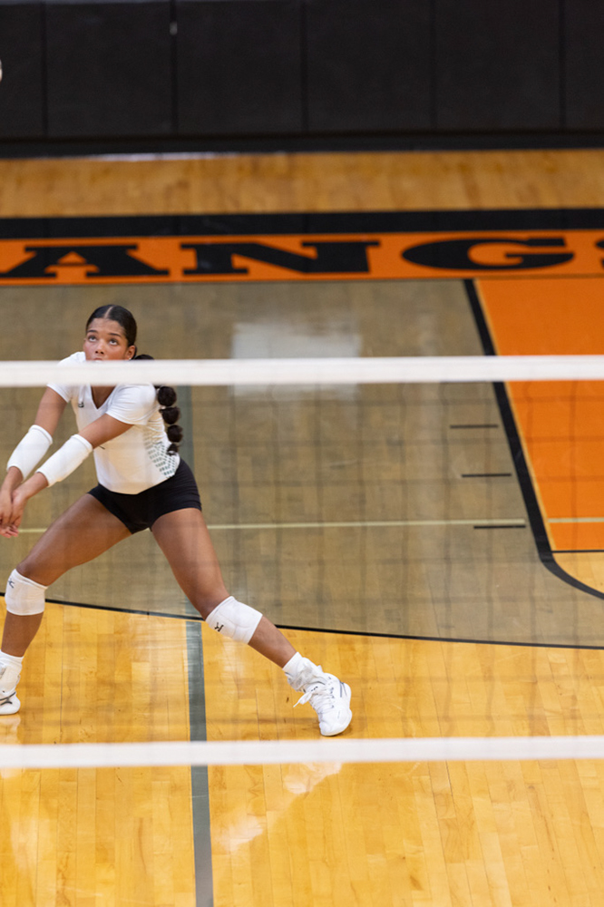 %_tempFileName1M6A6078%