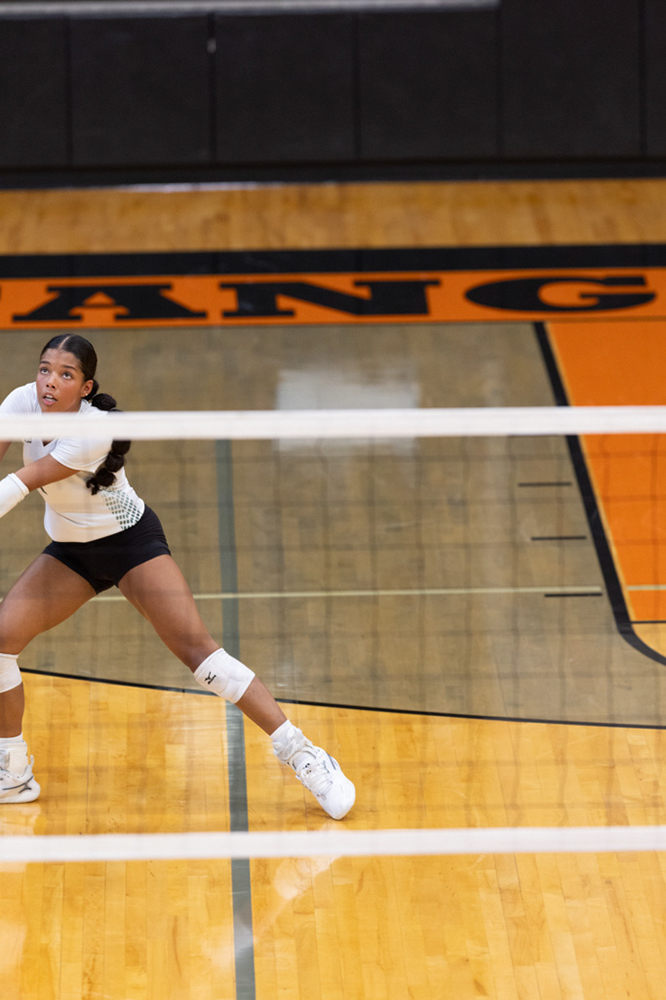 %_tempFileName1M6A6079%