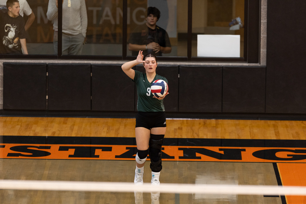 %_tempFileName1M6A6085%