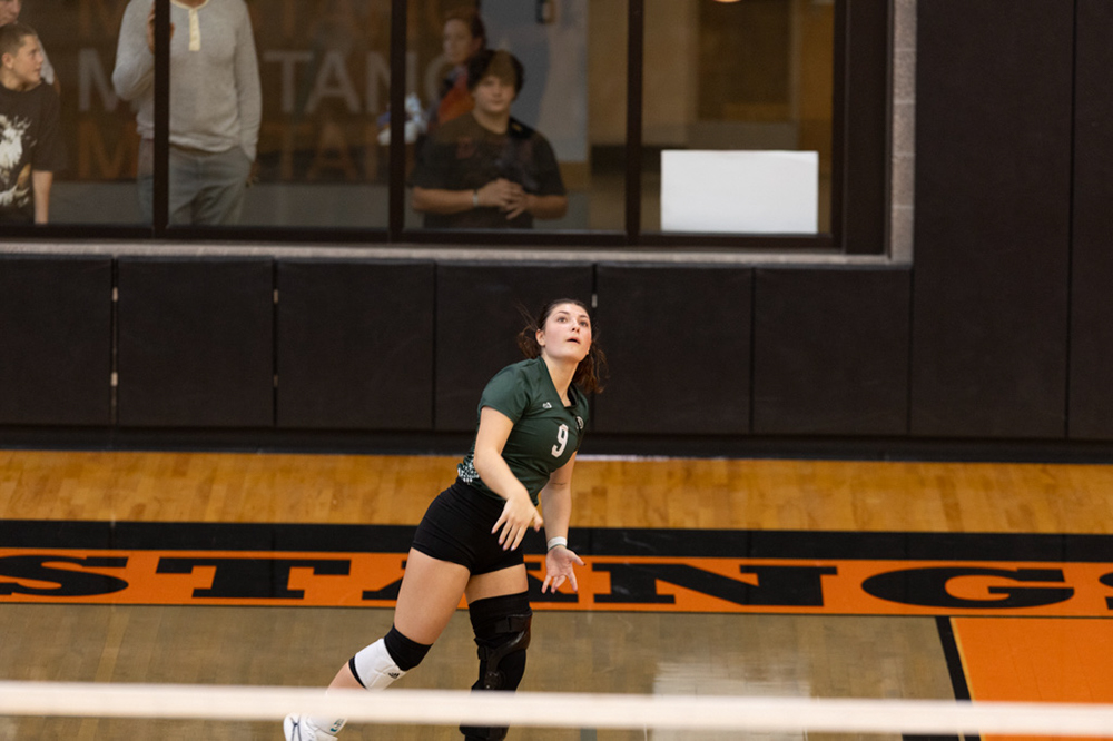 %_tempFileName1M6A6095%