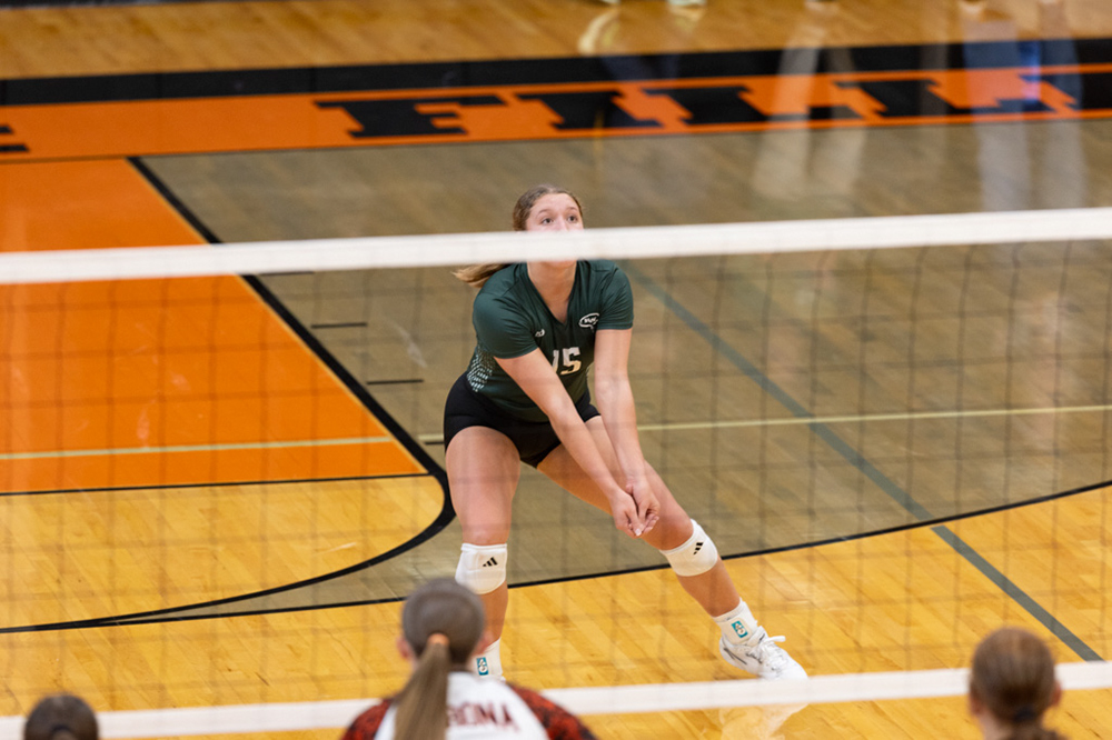 %_tempFileName1M6A6100%