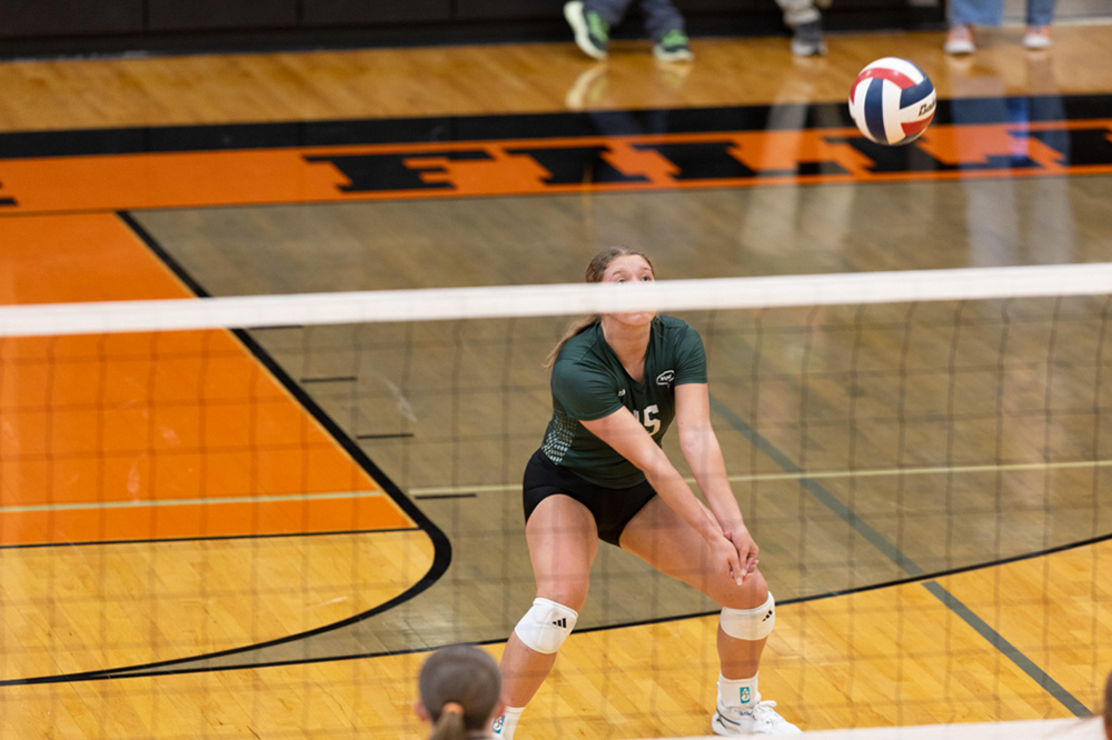 %_tempFileName1M6A6103%