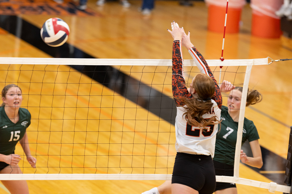 %_tempFileName1M6A6114%