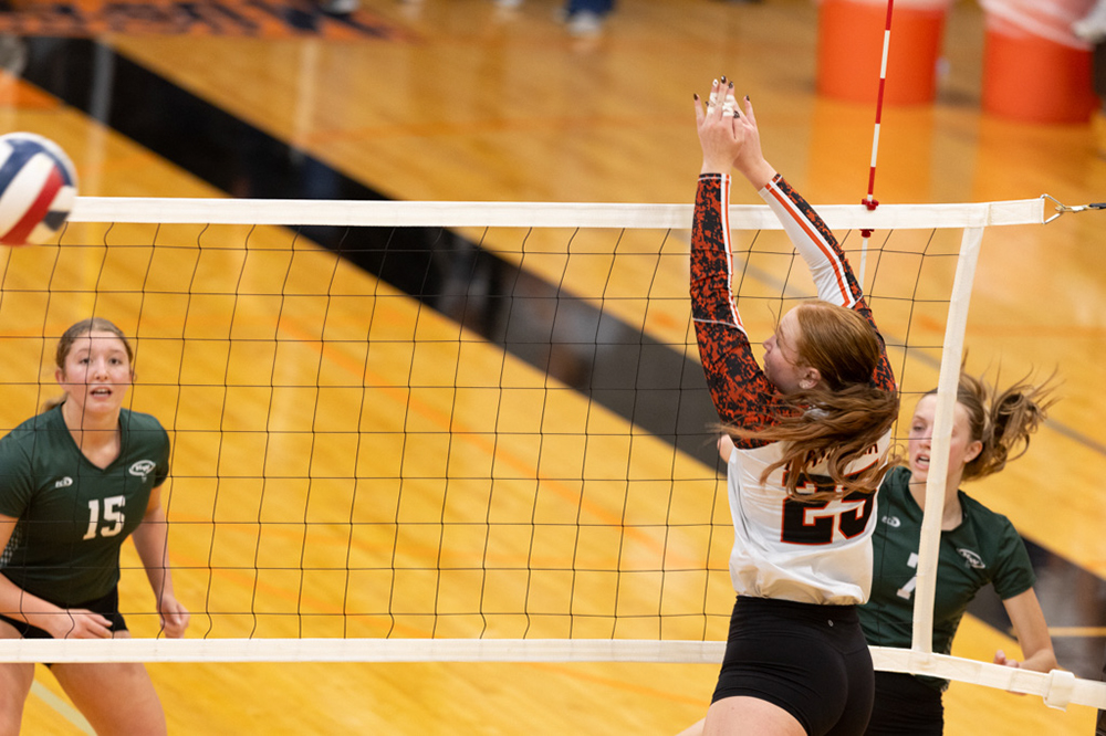 %_tempFileName1M6A6115%