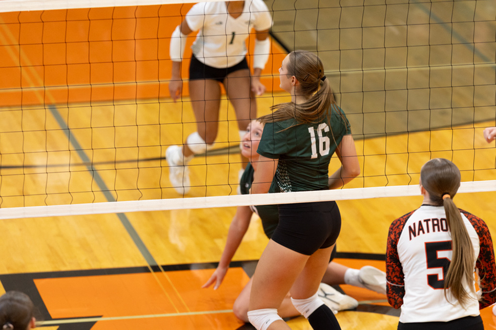 %_tempFileName1M6A6124%