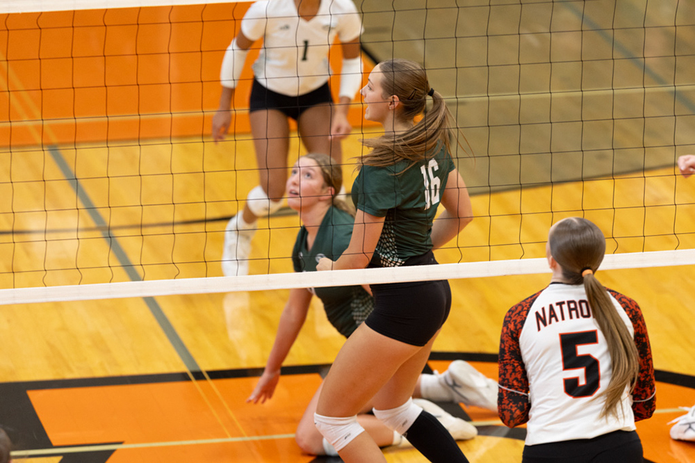 %_tempFileName1M6A6125%