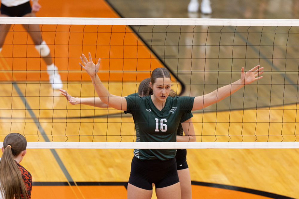 %_tempFileName1M6A6131%