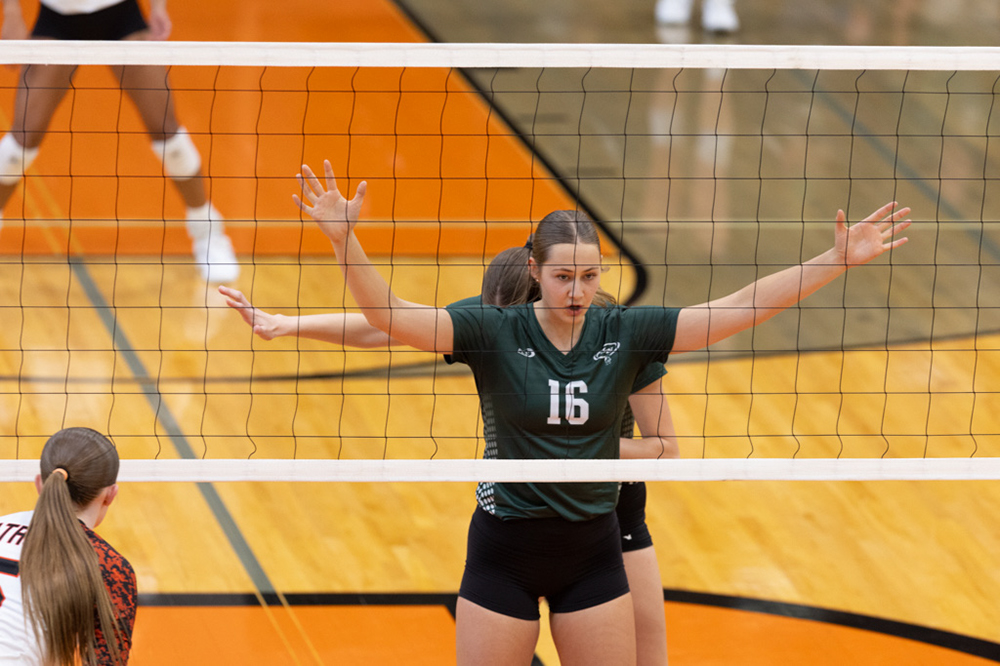 %_tempFileName1M6A6132%