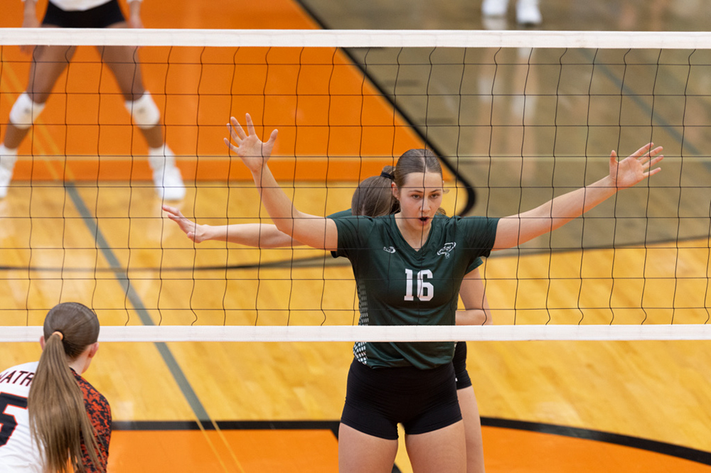 %_tempFileName1M6A6133%