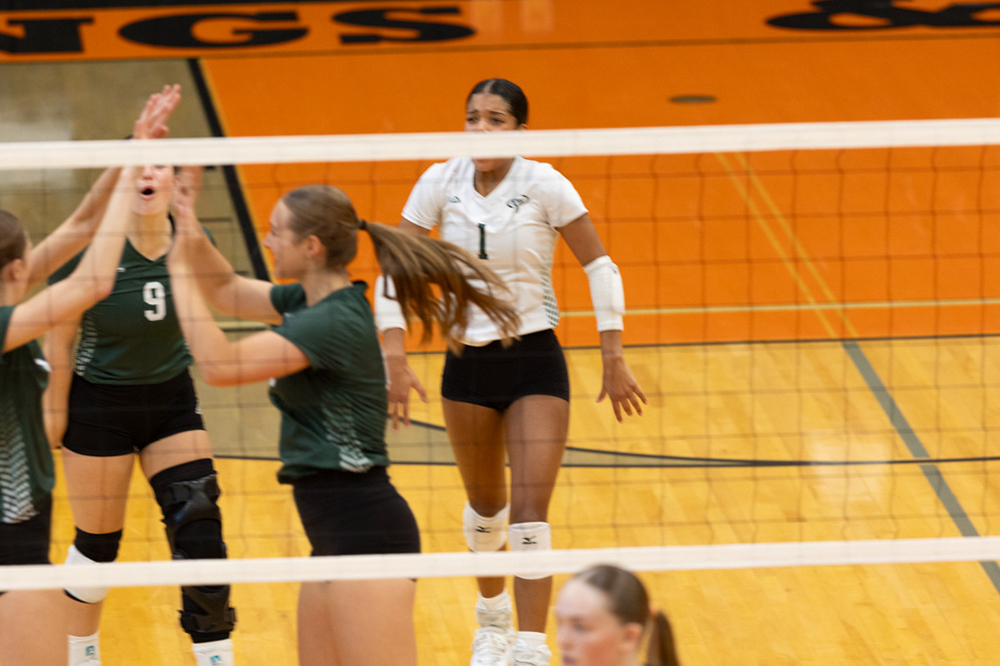 %_tempFileName1M6A6139%