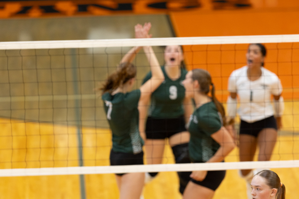 %_tempFileName1M6A6142%