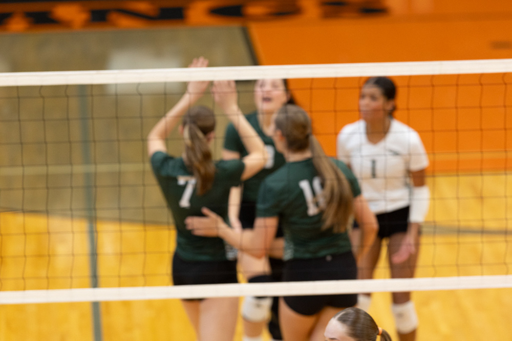 %_tempFileName1M6A6146%