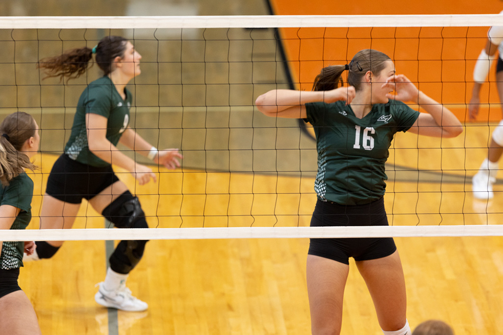 %_tempFileName1M6A6202%