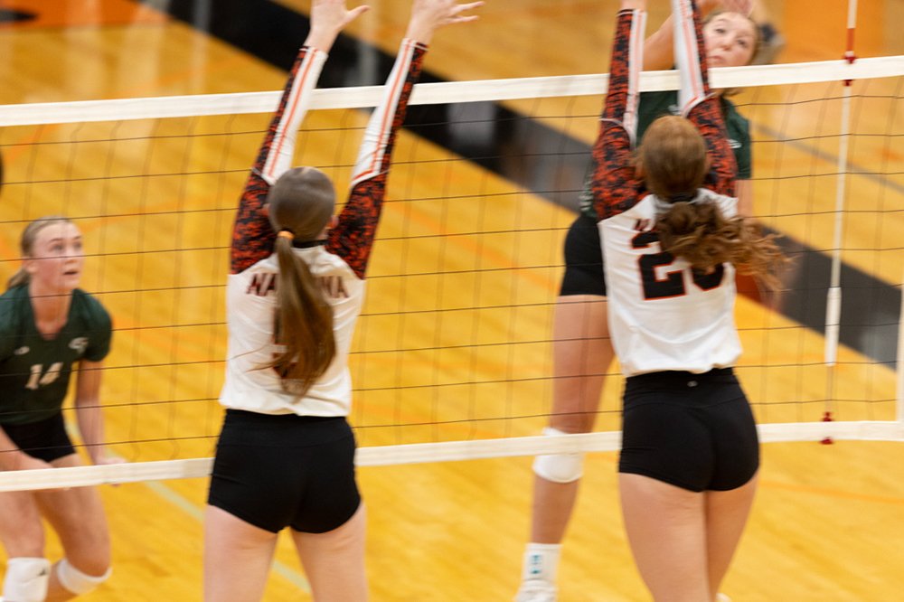 %_tempFileName1M6A6203%