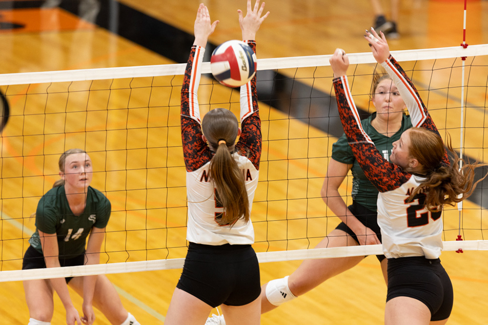 %_tempFileName1M6A6206%