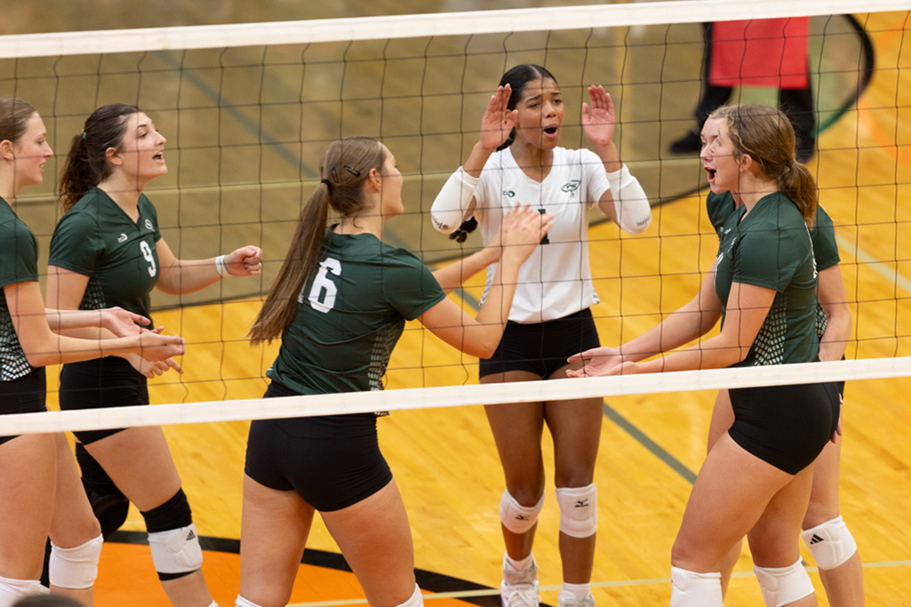 %_tempFileName1M6A6219%