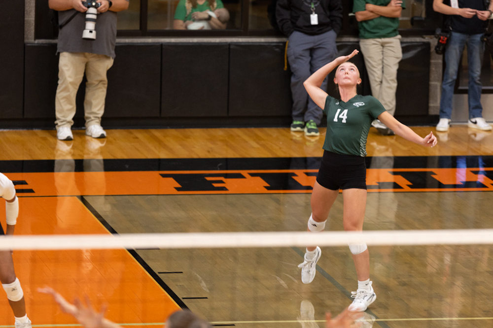 %_tempFileName1M6A6233%