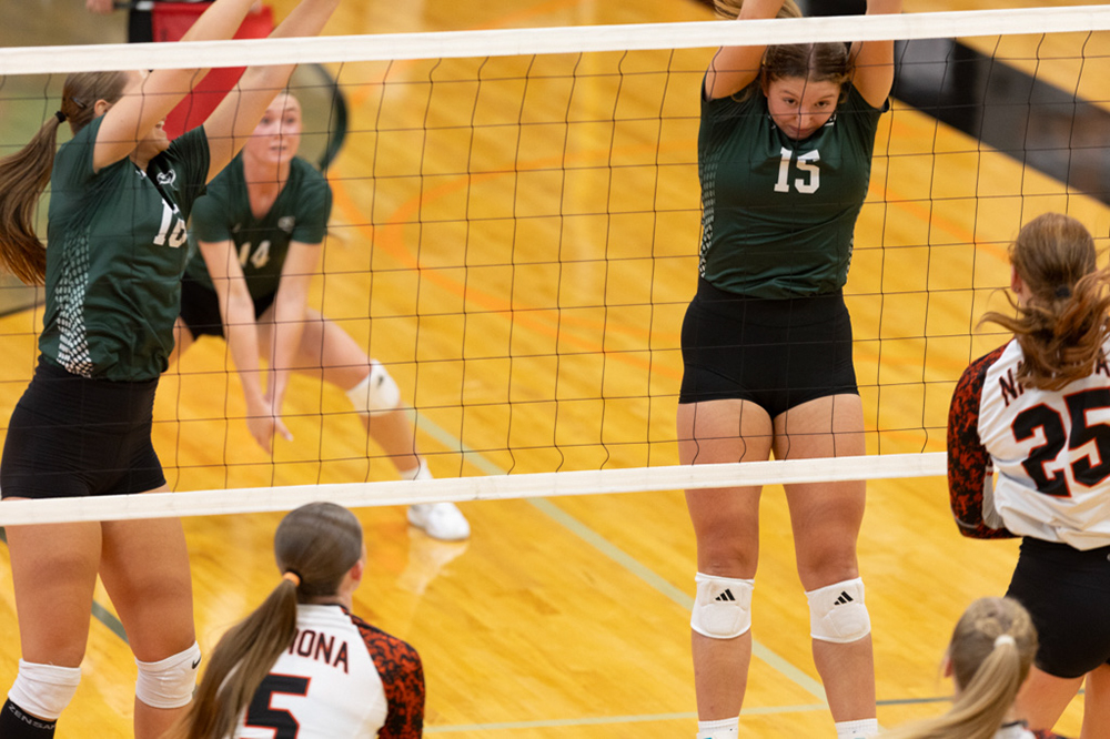 %_tempFileName1M6A6241%