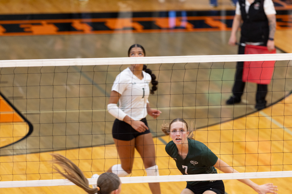 %_tempFileName1M6A6245%