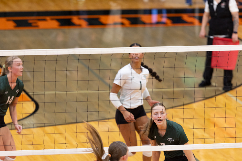 %_tempFileName1M6A6246%