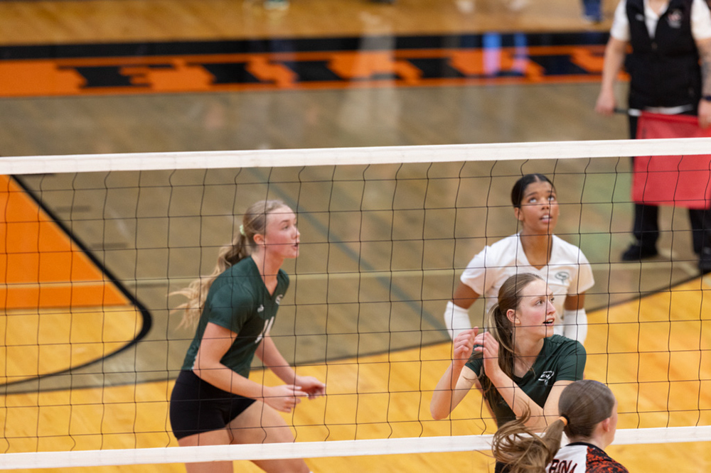 %_tempFileName1M6A6250%