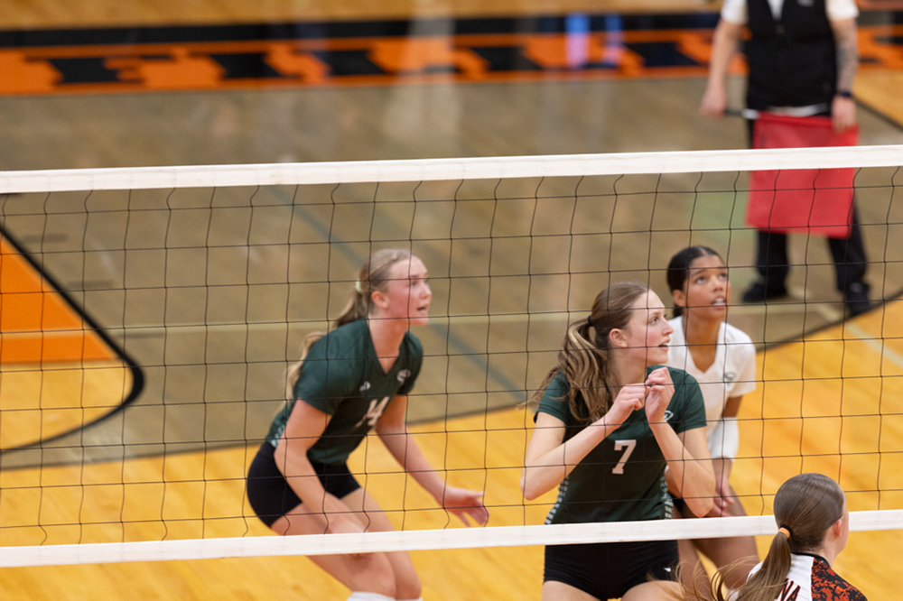 %_tempFileName1M6A6252%