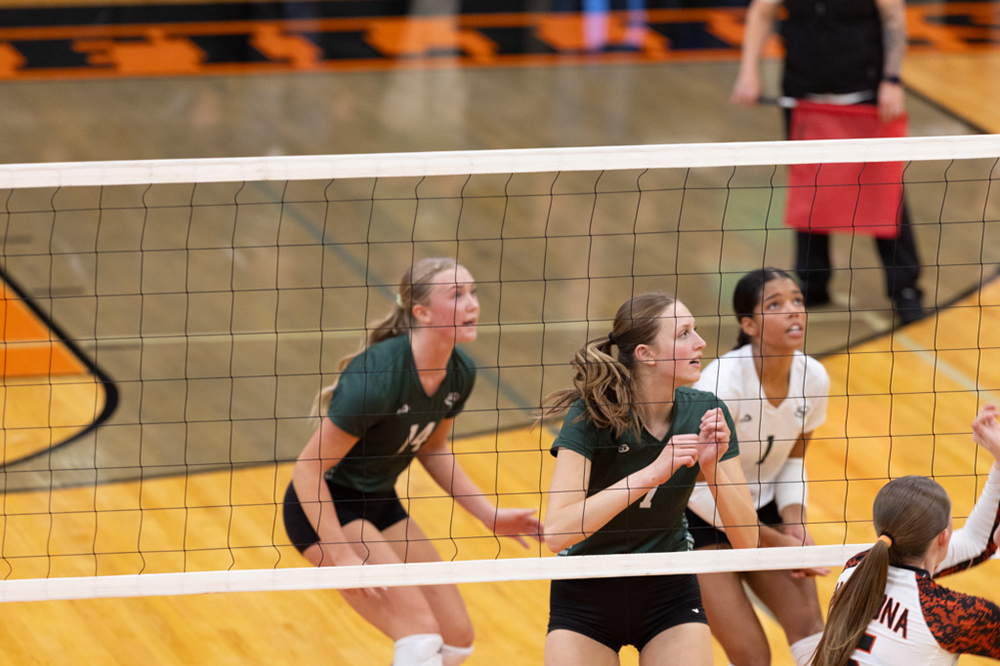 %_tempFileName1M6A6253%