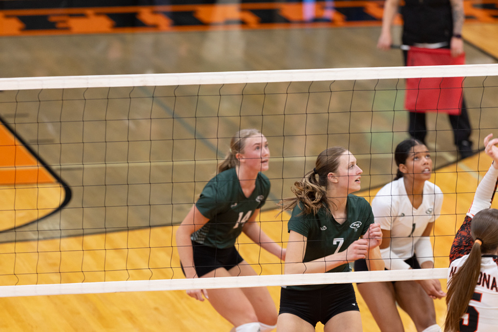 %_tempFileName1M6A6254%