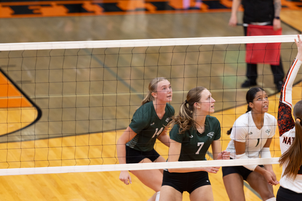 %_tempFileName1M6A6255%