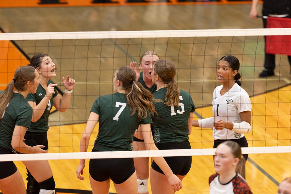 %_tempFileName1M6A6262%