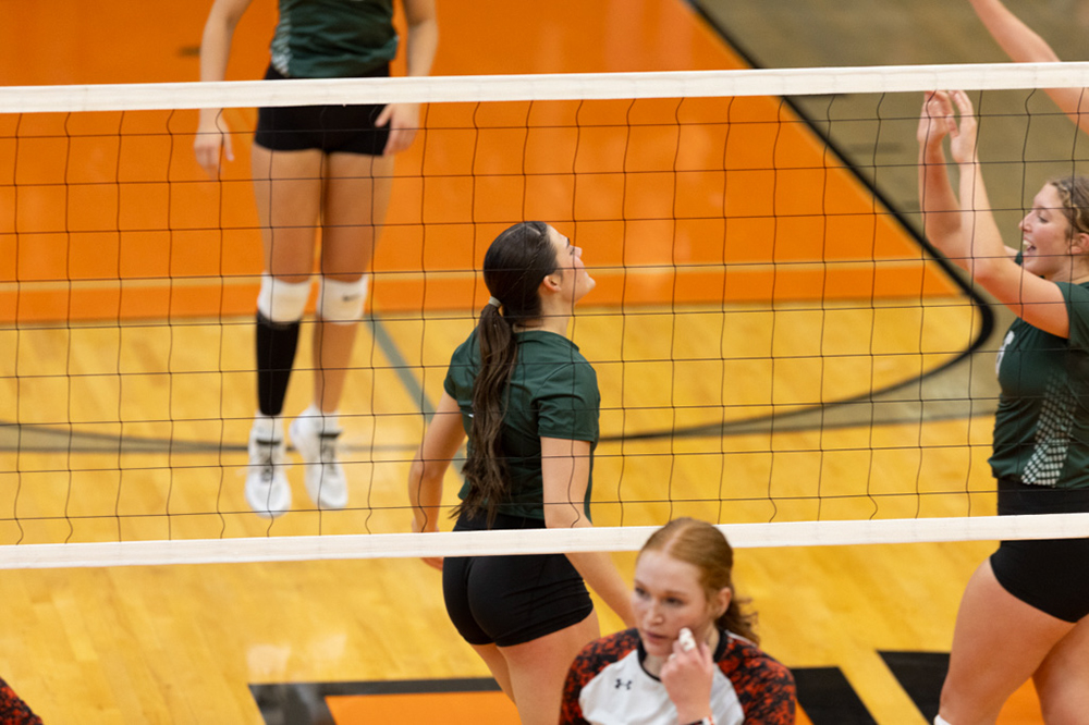 %_tempFileName1M6A6293%