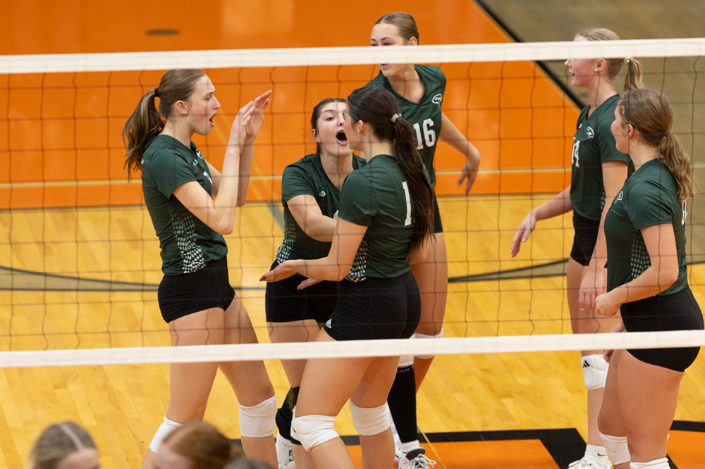 %_tempFileName1M6A6317%