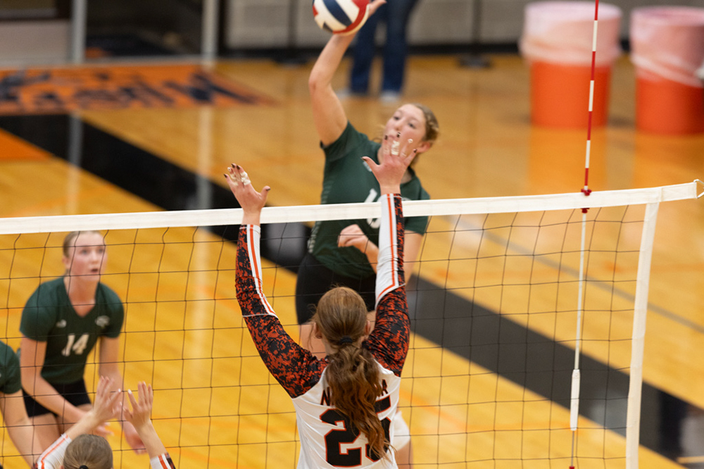 %_tempFileName1M6A6337%