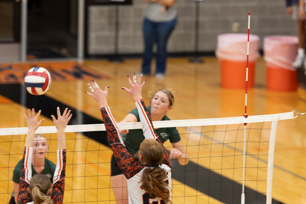 %_tempFileName1M6A6339%