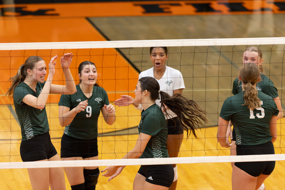 %_tempFileName1M6A6355%