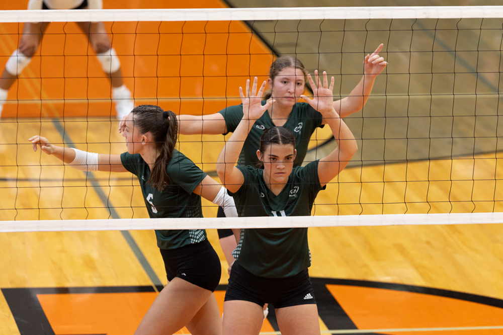 %_tempFileName1M6A6399%